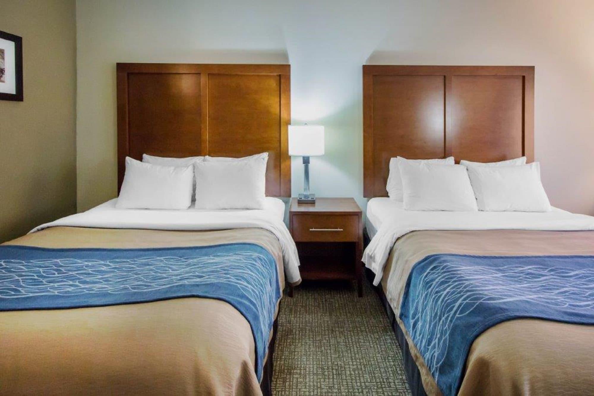 Comfort Inn & Suites Дедууд Екстериор снимка